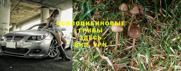 мяу мяу мука Михайлов