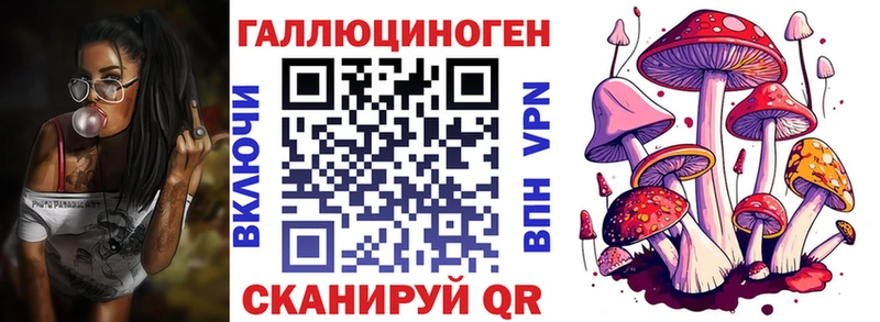 Галлюциногенные грибы мухоморы  где найти наркотики  MEGA ТОР  Курильск 